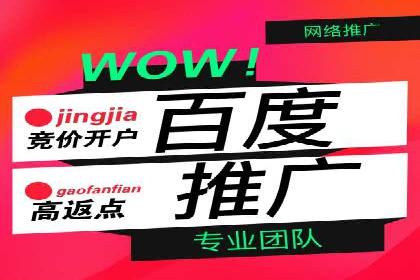 百度运营推广全攻略：成功案例深度剖析
